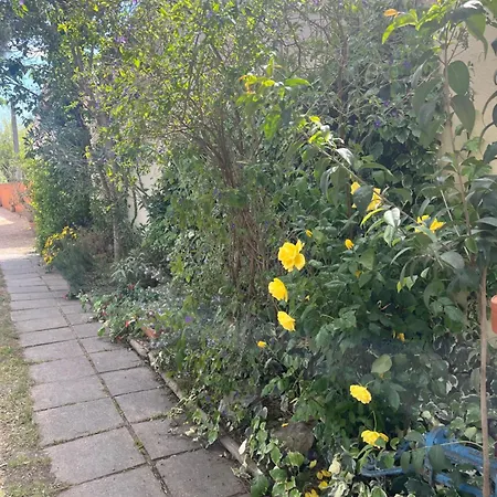 - Mas Saint-louis - Piscine Chauffée