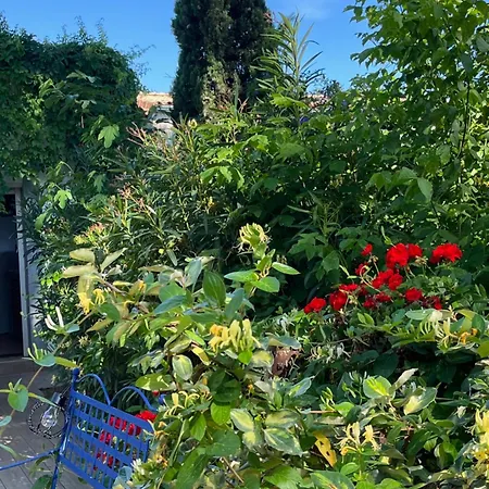 - Mas Saint-louis - Piscine Chauffee Appartement Aigues-Mortes