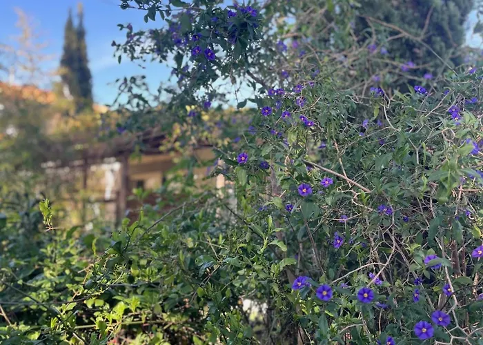 - Mas Saint-louis - Piscine Chauffee Apartment